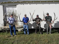 2010 CS Headquearters Area Elk Hunt