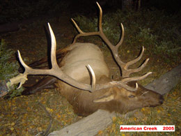 Elk Hunting at the CS