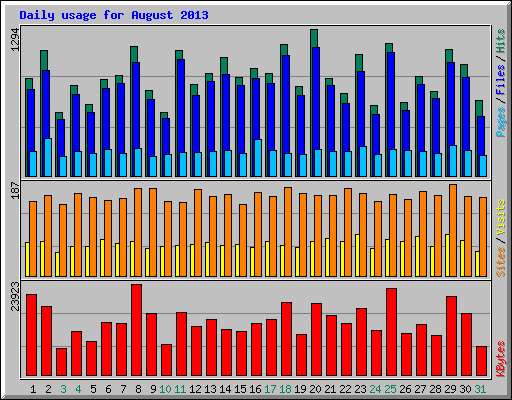 Daily usage for August 2013