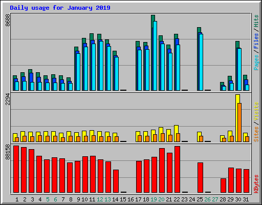 Daily usage for January 2019
