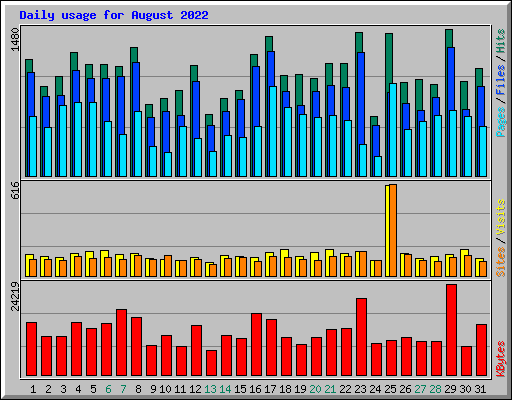 Daily usage for August 2022
