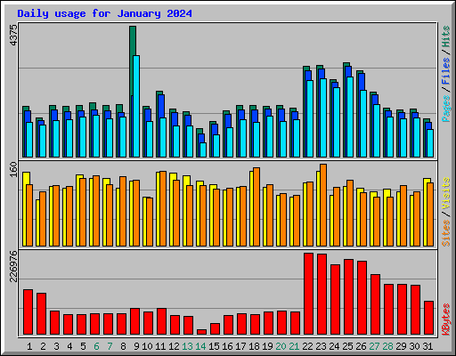 Daily usage for January 2024