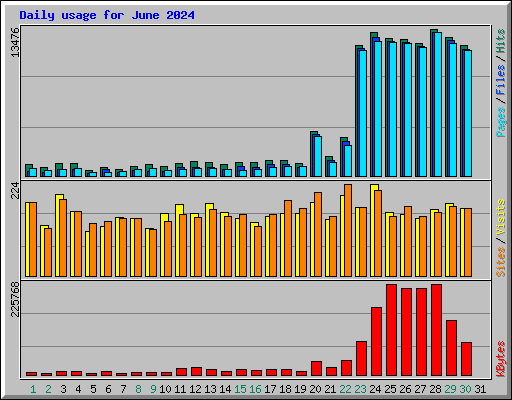 Daily usage for June 2024