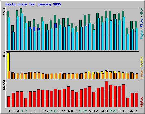 Daily usage for January 2025