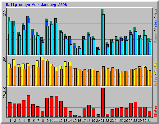 Daily usage for January 2026