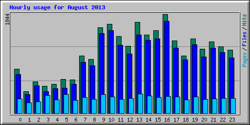 Hourly usage for August 2013