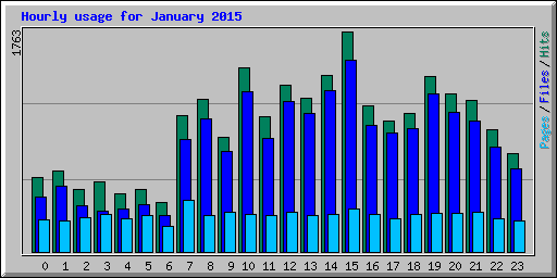 Hourly usage for January 2015