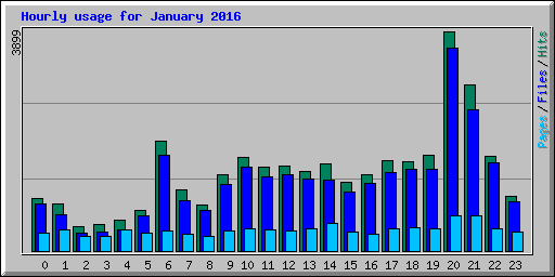 Hourly usage for January 2016