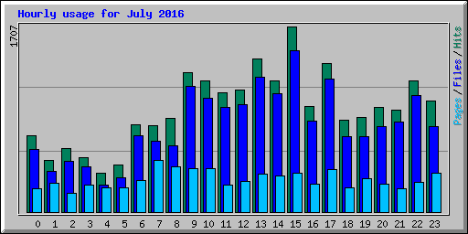 Hourly usage for July 2016