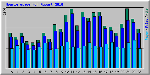 Hourly usage for August 2016