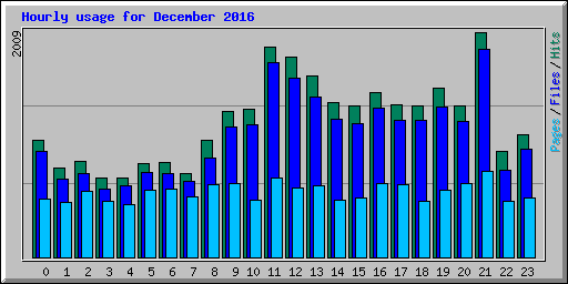 Hourly usage for December 2016