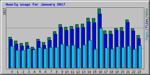 Hourly usage for January 2017