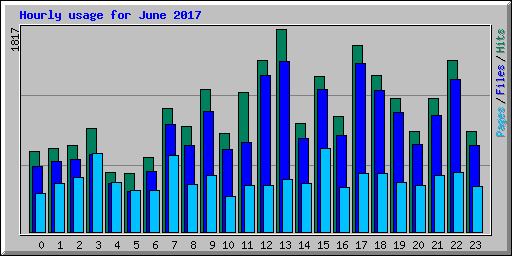 Hourly usage for June 2017