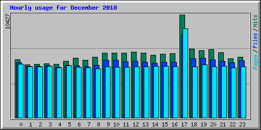 Hourly usage for December 2018