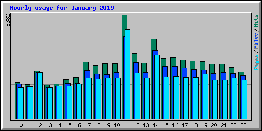 Hourly usage for January 2019