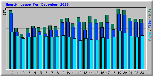 Hourly usage for December 2020