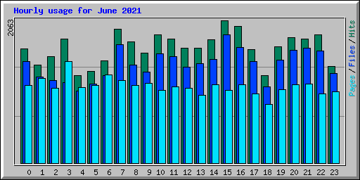Hourly usage for June 2021