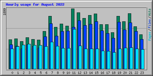 Hourly usage for August 2022