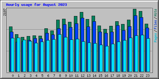 Hourly usage for August 2023