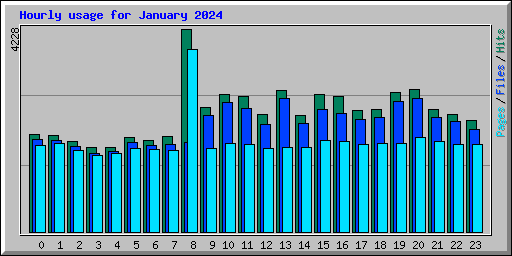 Hourly usage for January 2024