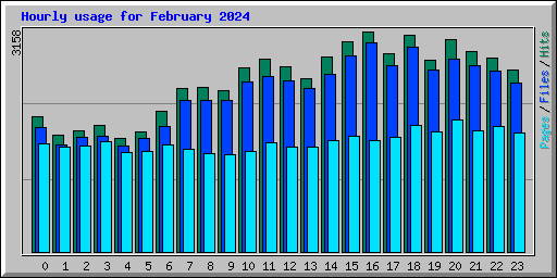 Hourly usage for February 2024