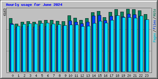 Hourly usage for June 2024