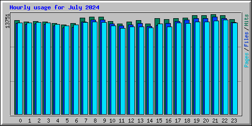 Hourly usage for July 2024