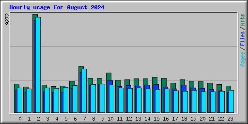 Hourly usage for August 2024