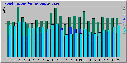 Hourly usage for September 2024