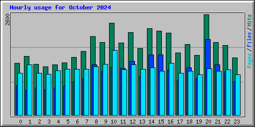 Hourly usage for October 2024