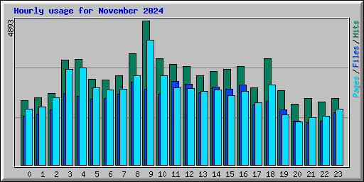Hourly usage for November 2024