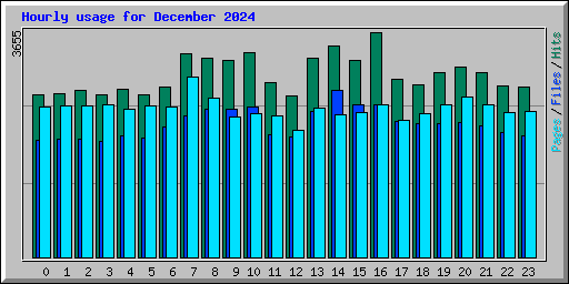 Hourly usage for December 2024
