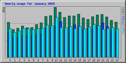 Hourly usage for January 2025