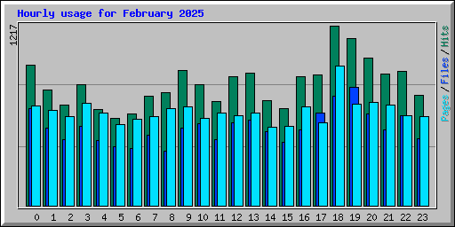 Hourly usage for February 2025