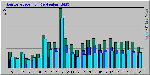 Hourly usage for September 2025