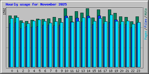 Hourly usage for November 2025