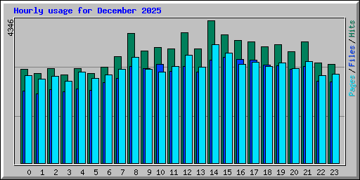 Hourly usage for December 2025