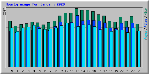 Hourly usage for January 2026