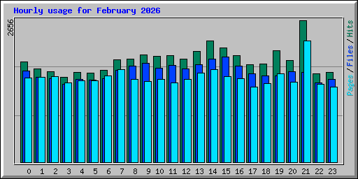 Hourly usage for February 2026